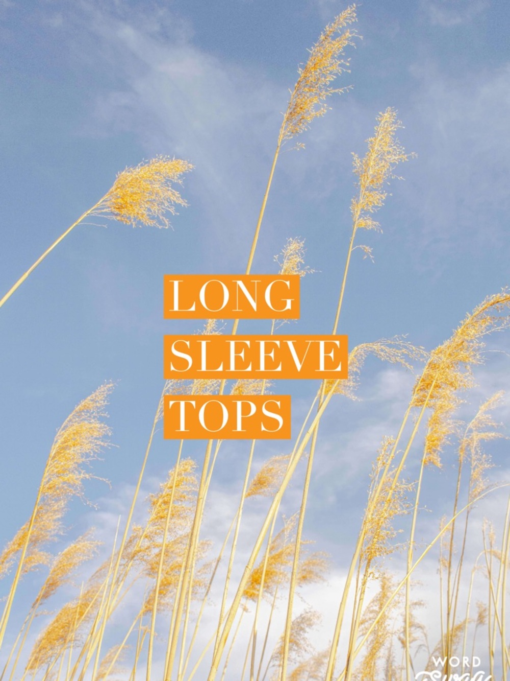 Long Sleeve Tops - Blue and Yellow Graphic